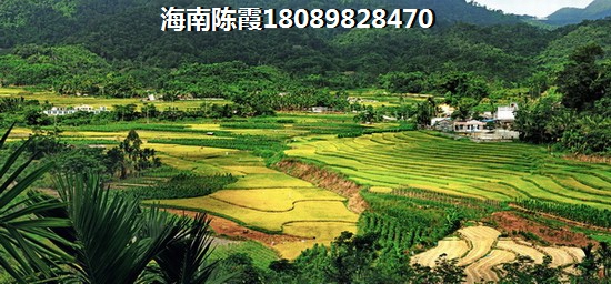 广州哪个房价醉高