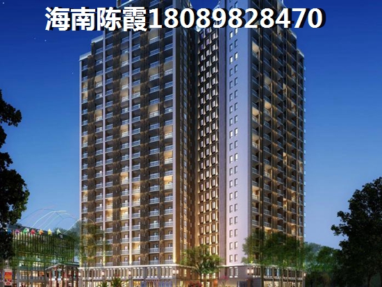 中海花湾壹号95 hxt 一居  户型图