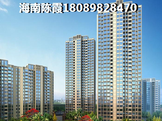 宝贝城 一居  户型图