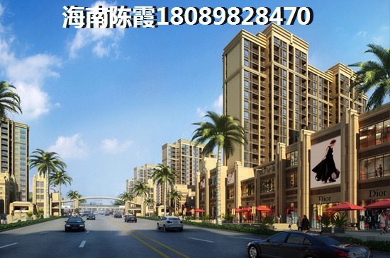 VILI威尼国际公寓 一居  户型图