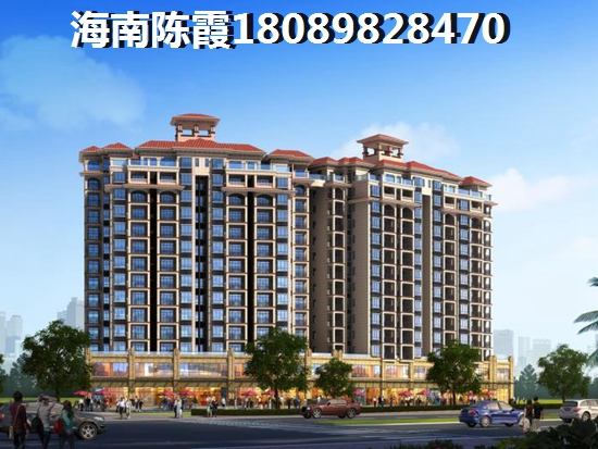 星河绿洲二期 四居  户型图