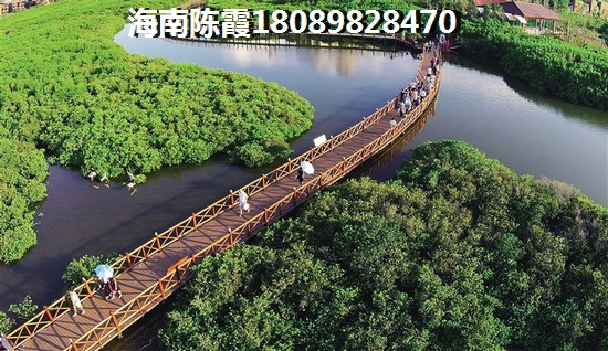 伟国服饰尾货批发市场 建筑规划 