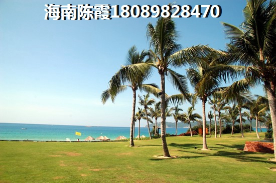 伟国服饰尾货批发市场 建筑规划 